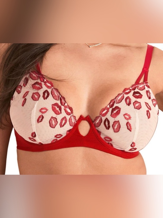 Adore Me Other - Sheer Embroidered Lip-Print Plunge Bra in Red